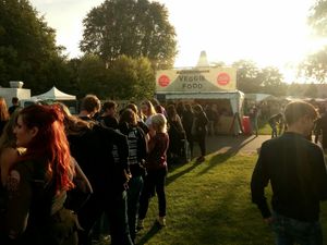 JLYM at BOA festival in Rotterdam at Just Like Your Mom in Rotterdam