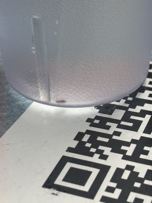 Bug in water, there was also a piece of broccoli somehow  at Little Peking in Fresno