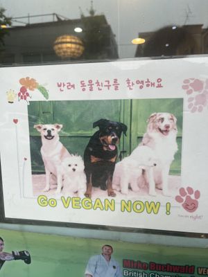   at Loving Hut Land - 러빙헛랜드 in Seoul