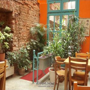 interior seating at Zencefil in Istanbul