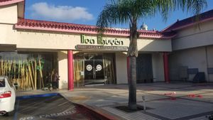 Outside at Hoa Nguyen in Westminster