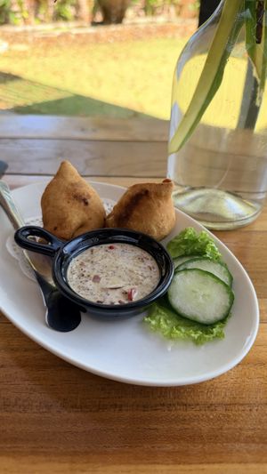   at The Fat Frog in Langkawi