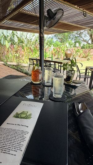   at The Fat Frog in Langkawi