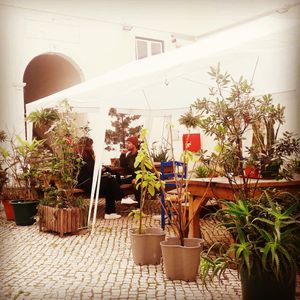 Cafe! at Agua no Bico in Lisbon