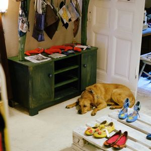 I came here first time and was amazed by the interior design and the kindness of the staff, and after tasting the thai curry and the raw cheesecake, I was totally happy to find this place. 
They cook very good, the thai curry was spicy enough and very delish, the cake without gluten and sugar was also surprisingly sweet, fresh and tasty. I gonna come back!  at Kek Lo Berlin in Berlin