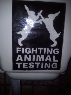 Go vegan! Love animals ! at Chiccas in Praia Da Luz