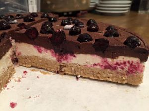 Raw cake - coconut, dried apricot, lemon, choclate, blueberries at Gajbica in Zagreb