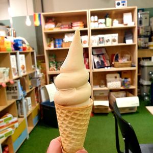 yummy at DalYang - Sweet Kitten 달냥 in Seoul