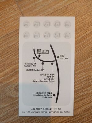 Business card at DalYang - Sweet Kitten 달냥 in Seoul