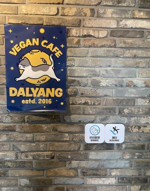 It is not enough to say just a vegan cafe  at DalYang - Sweet Kitten 달냥 in Seoul