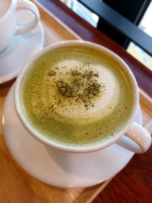  at DalYang - Sweet Kitten 달냥 in Seoul