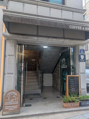  at DalYang - Sweet Kitten 달냥 in Seoul