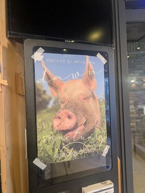  at DalYang - Sweet Kitten 달냥 in Seoul