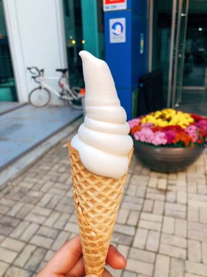 Our AMAZING soft serve at DalYang - Sweet Kitten 달냥 in Seoul