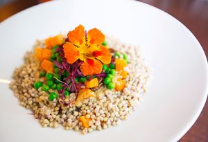 salad at SaladPride in London