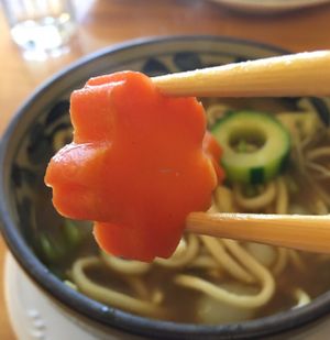 omg I love this place!! I will be back for sure! at Cha-Ya in San Francisco