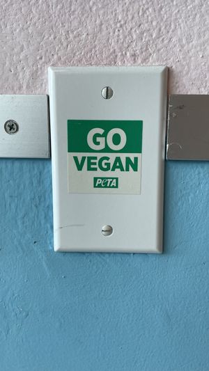 YES at Comet 984 in Playa Del Carmen