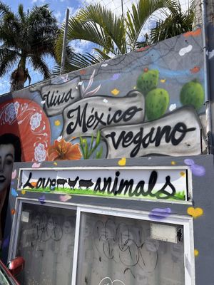 Mural  at Comet 984 in Playa Del Carmen