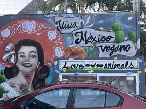   at Comet 984 in Playa Del Carmen