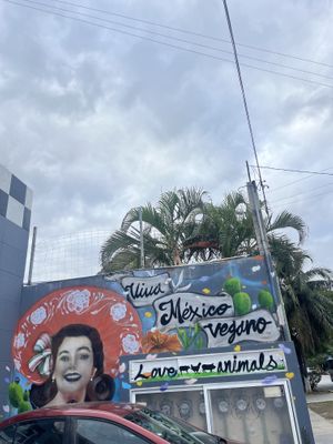   at Comet 984 in Playa Del Carmen