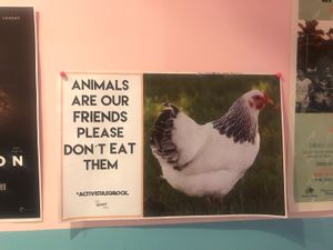 Bathroom at Comet 984 in Playa Del Carmen