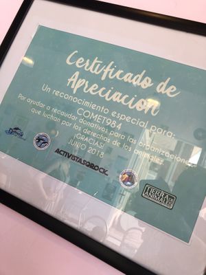 Supporting activism 🙌🏽  at Comet 984 in Playa Del Carmen