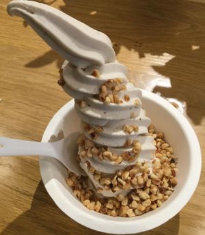 Organic and vegan vanilla macadamia soft serve yogurt at Eb & Bean - Broadway in Portland