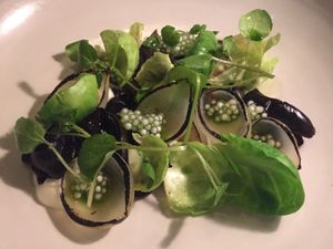 Bentley Restaurant and Bar at Bentley Restaurant and Bar in Sydney