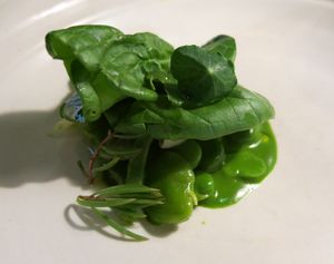 Bentley Restaurant and Bar at Bentley Restaurant and Bar in Sydney