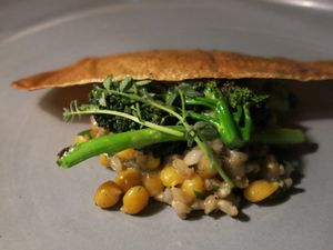 Bentley Restaurant and Bar at Bentley Restaurant and Bar in Sydney