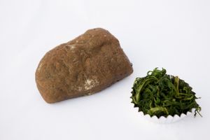 mugwort ciabatta  at Kkotmil in Seoul