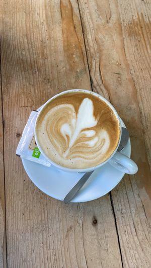 Coffee with soymilk and oatmilk option  at Cafe Babel in Torrelodones