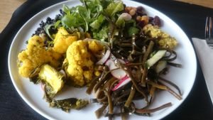 normal plate at Noordoever in Leuven