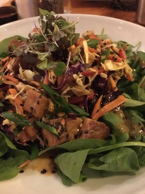 Sesame Tofu Salad (12/29/17)
This salad was delicious but I wish I had ordered the dressing on the side because they DRENCHED my veggies in the dressing and I had a good three Tbsp left on my plate once I was all done.  at Oak House in Newmarket