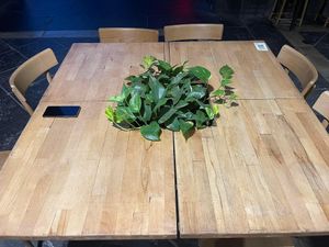   at Vitto Pitagorico in Naples