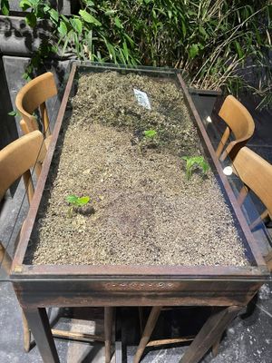   at Vitto Pitagorico in Naples