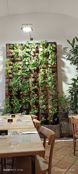  at Vitto Pitagorico in Naples