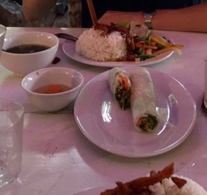 veg rice paper rolls & the SMALL vegan dish at Buddha Belly in Cat Ba