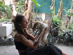 Cute puppies at Buddha Belly in Cat Ba