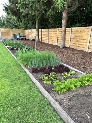 Garden  at De Poorterij in Elen
