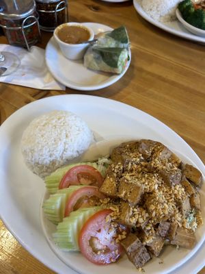 Garlic & pepper tofu; spring rolls(came w 4)  at Thai Corner Cafe in Reno