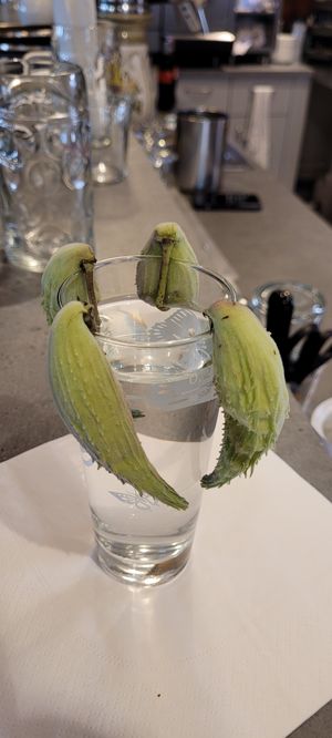  at Ringmauer Hotel-Restaurant in Murten