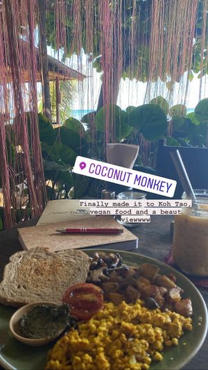   at Coconut Monkey in Koh Tao