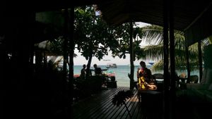 view  at Coconut Monkey in Koh Tao