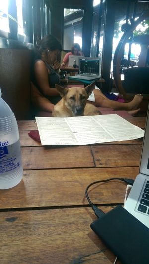 date  at Coconut Monkey in Koh Tao