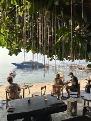   at Coconut Monkey in Koh Tao