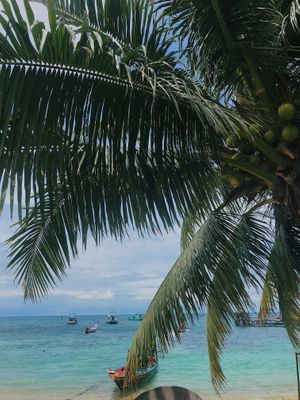 Views from coconut monkey 😍 at Coconut Monkey in Koh Tao