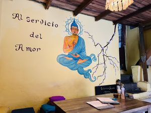 In service of love  at The Vegan Temple by Prasada in Cusco