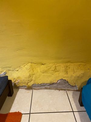  at The Vegan Temple by Prasada in Cusco