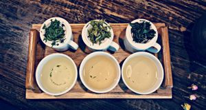 Green Tea Degustation at Queen Camellia Tea Room in Luzern